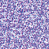 Prismalo I 12 Stk. hellviolett