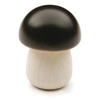 Steinpilz