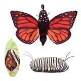 103.520.100 - Schmetterling Metamorphose Handpuppe 56 cm