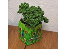 Anzuchtbox