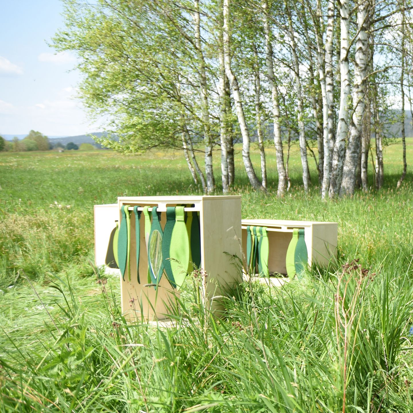 einBaum Schrank mit Plexiglasrückwand, Birke furniert