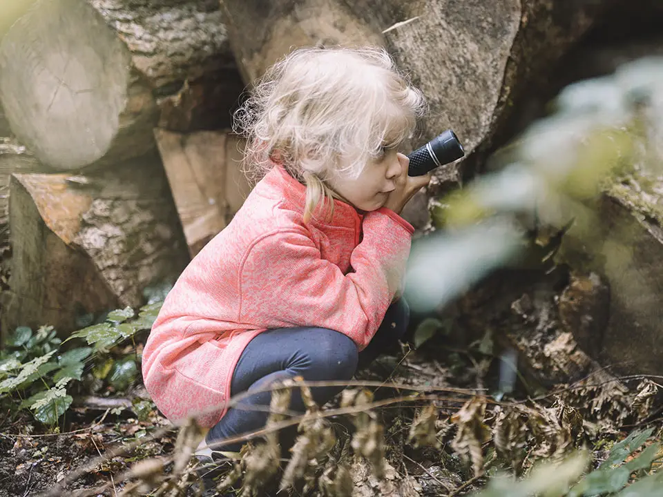 Mit Kindern den Wald im Herbst entdecken