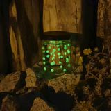 K22.006.001H - Glühwürmchen im Glas