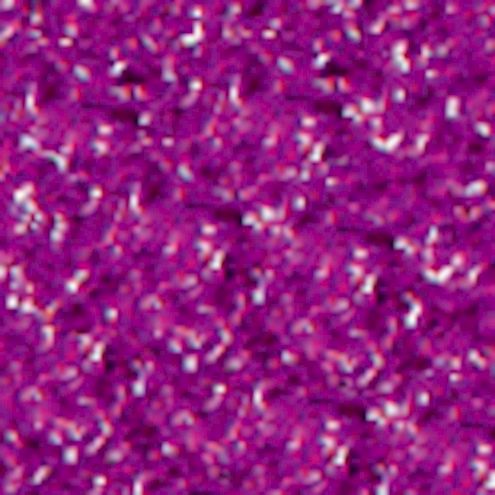 Lyra Farb-Riesen violett, 12 Stk.