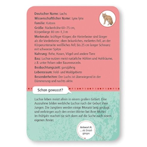 50 heimische Wald- & Wildtiere Lernkarten