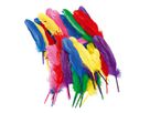 Federn bunt, 20 cm