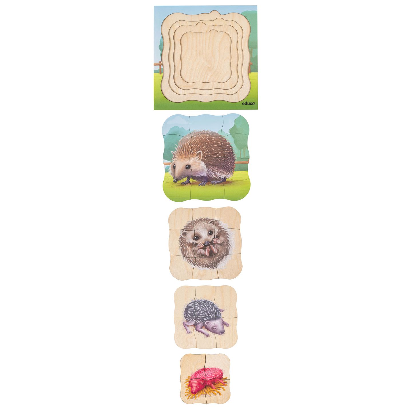 Lagenpuzzle Igel