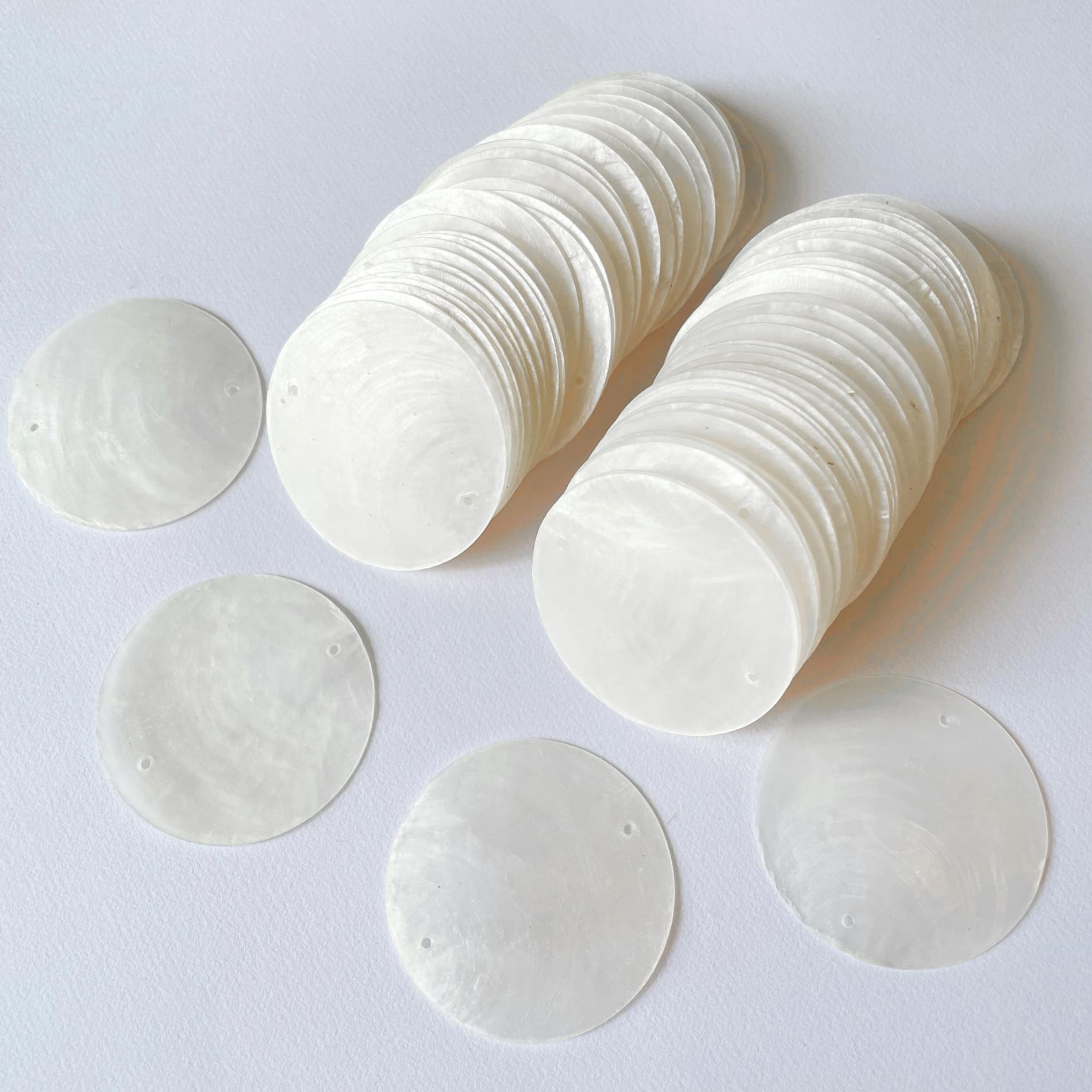 Muschelscheiben Ø ca. 6.3 cm, 50 Stück in Box
