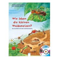 Wie leben die kleinen Waldameisen?