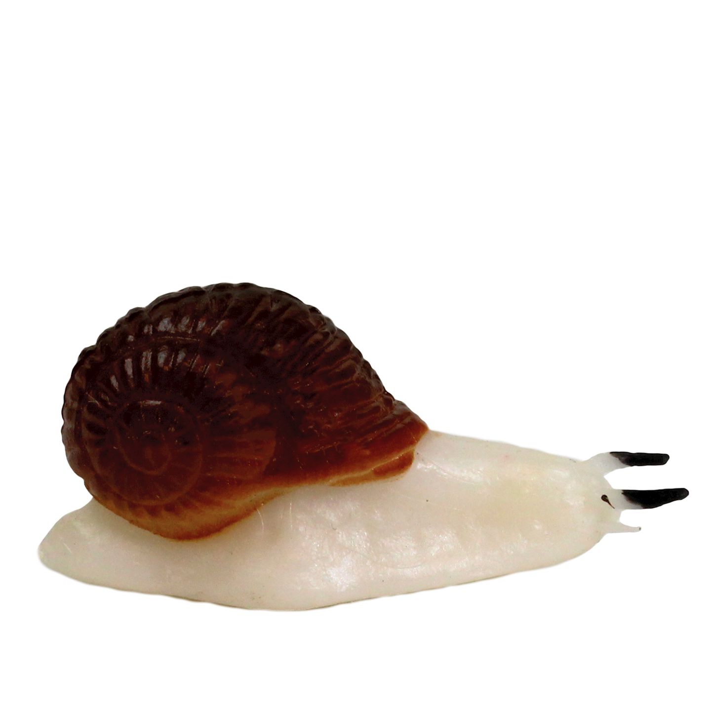 Modell Insekten & Co.