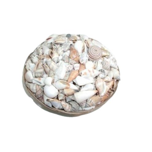 Muschelkorb mit kleinen Muscheln, ca. 1 kg