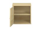 Pureo Hängeschrank mit Tür links, Furnier, mit 1 Einlegeboden, B 50 x H 50 x T 42 cm