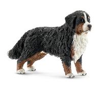 Berner Sennenhund