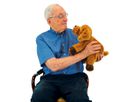 Therapie-Hund Theo