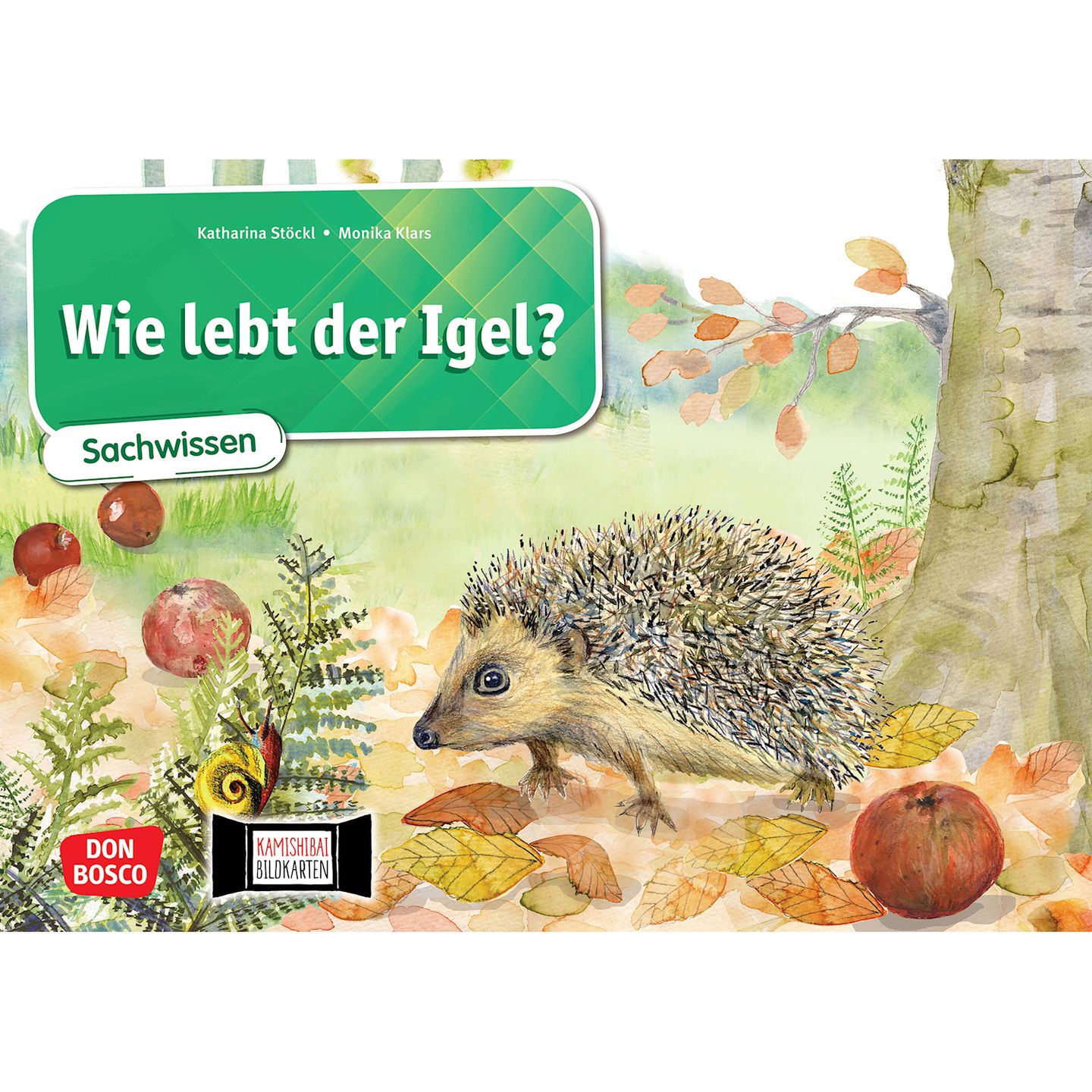 Wie lebt der Igel – Kamishibai Bildkarten