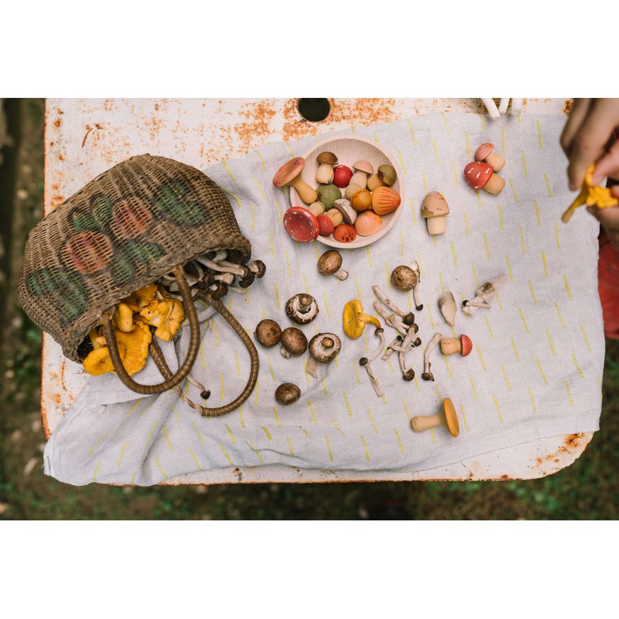 Mushroom Grove