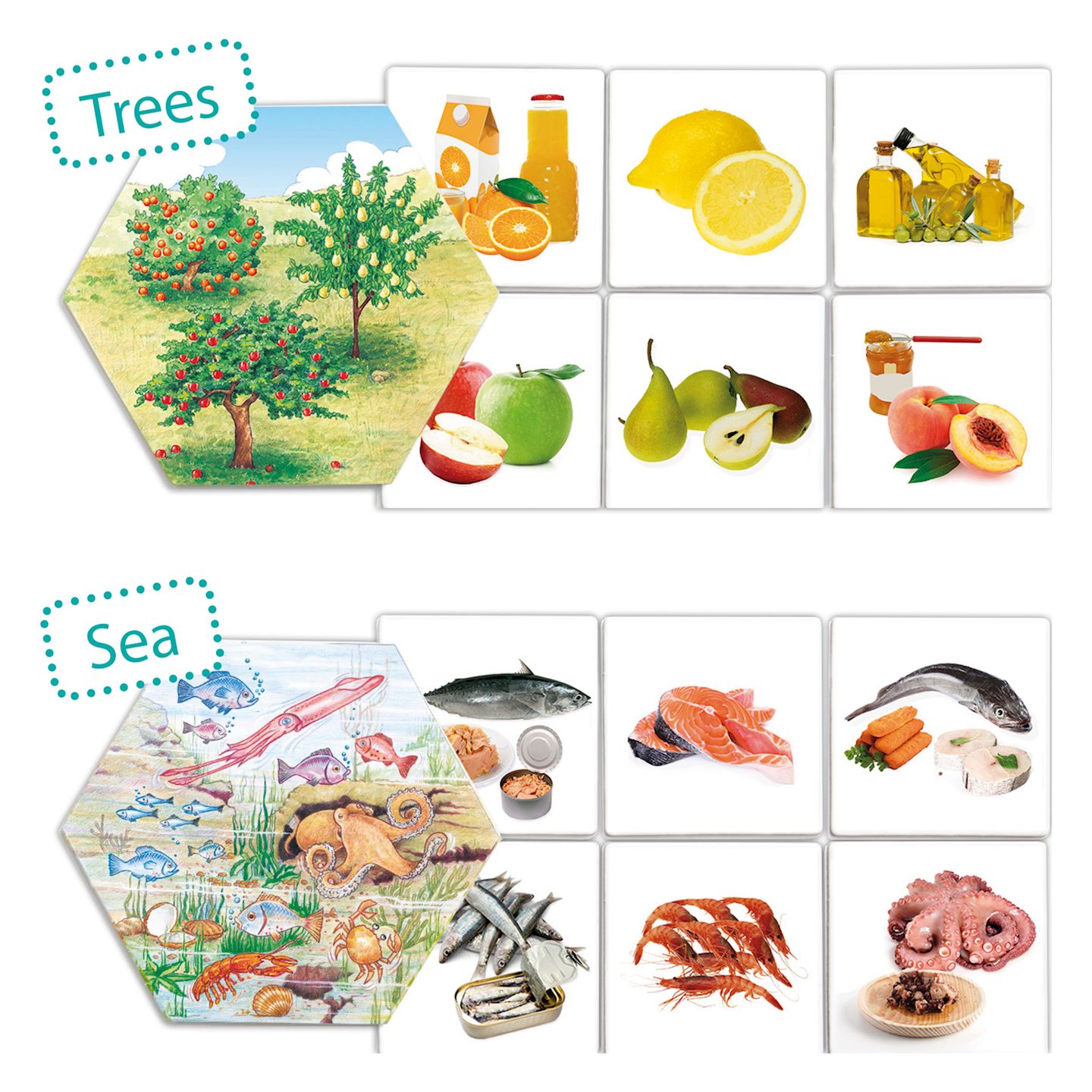 Woher das Essen kommt