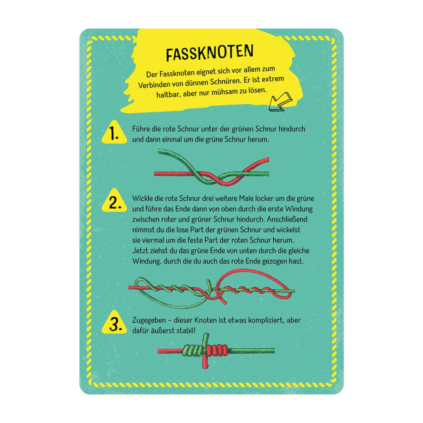 Die grosse Box der Knoten Expedition Natur