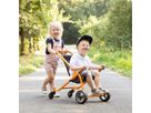 Buggy TopTrike
