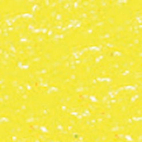 Lyra Farb-Riesen hellgelb, 12 Stk.