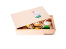 Lebenszyklus Huhn in der Holzbox