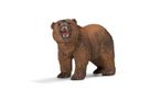 Grizzlybär