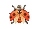 Magnetpuzzle Insekten 6er Set