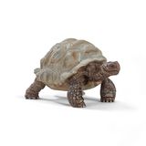 102.311.800 - Riesenschildkröte