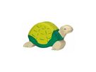 Schildkröte grün