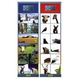 106.111.000 - Flocards Verständnis Set SK6