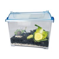 Beobachtungs-Set Schnecken
