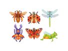 Magnetpuzzle Insekten 6er Set