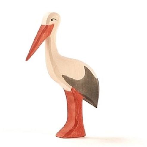 Storch
