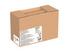 Biobuddi Domino 150 Stk. und 10 Figuren