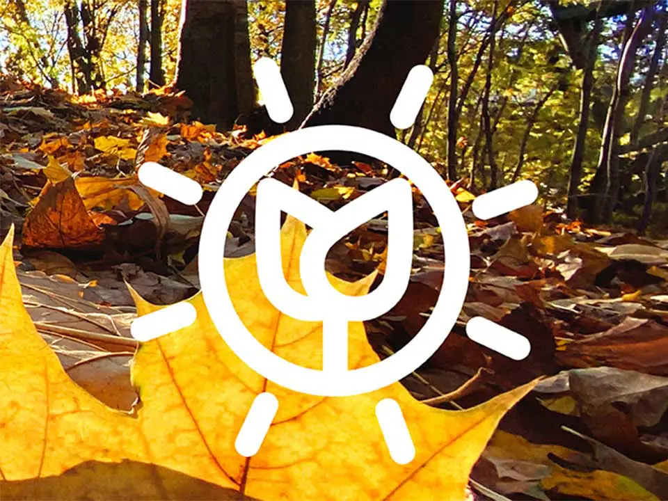 saisonale-empfehlungen-herbst.jpg