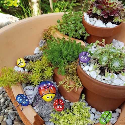 Garten-Krabbler