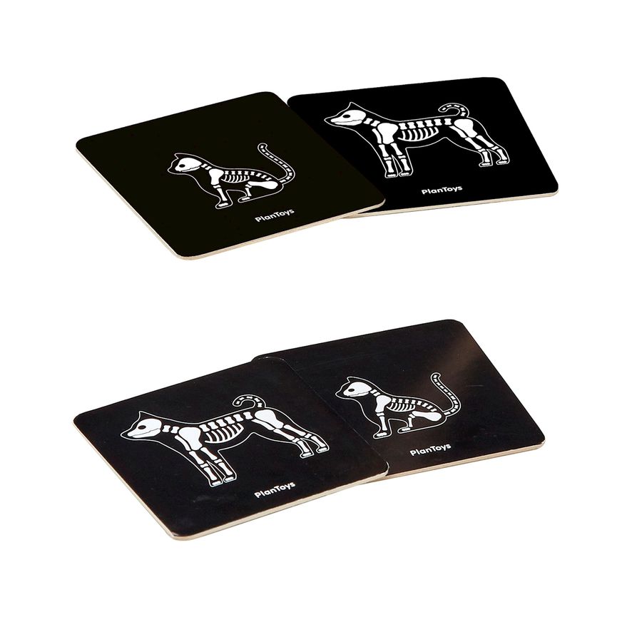 Tierarzt Spielset