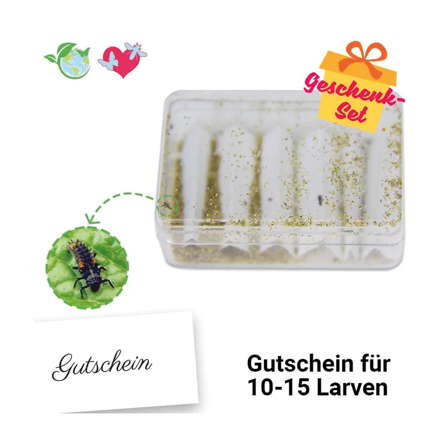 Nachbestell-Gutschein Marienkäfer-Larven