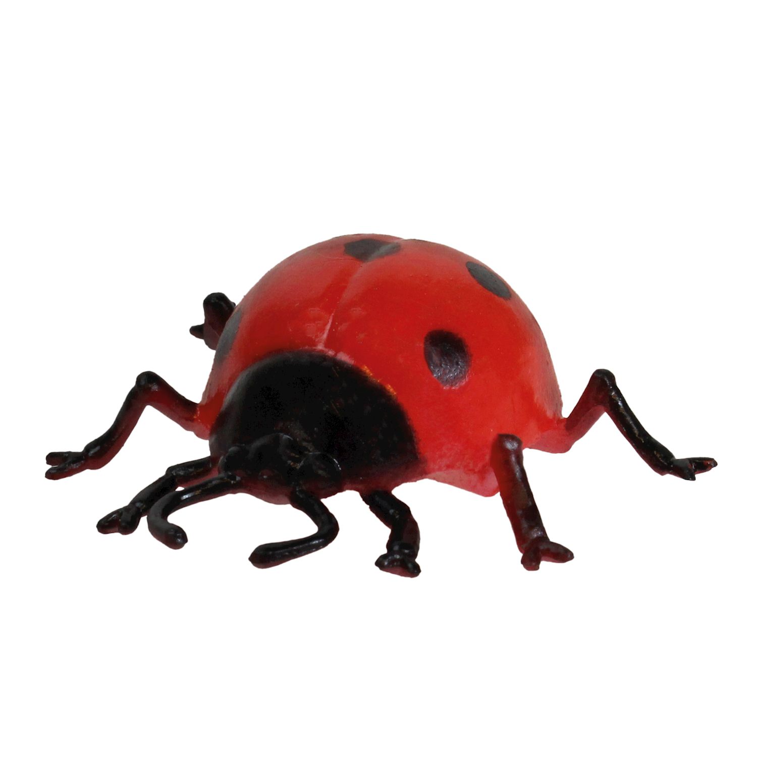 Modell Insekten & Co.