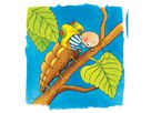 Schichtenpuzzle Raupe