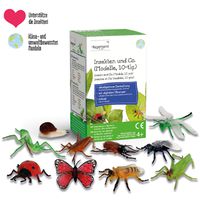 Modell Insekten & Co.