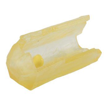 Lebenszyklus Biene