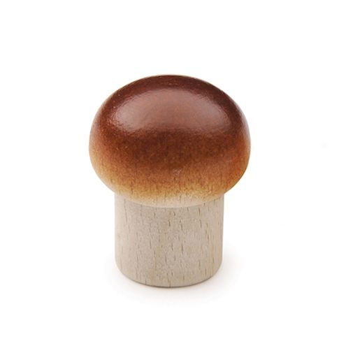 Champignon braun