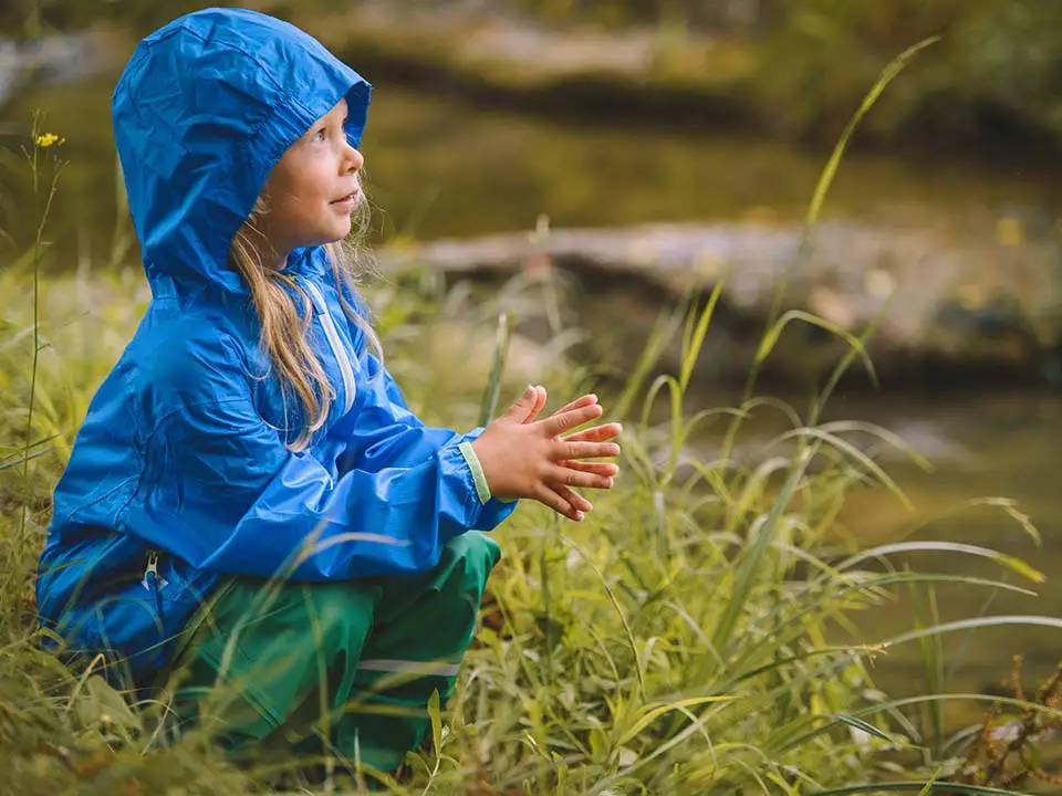 Insekten in der Natur erforschen