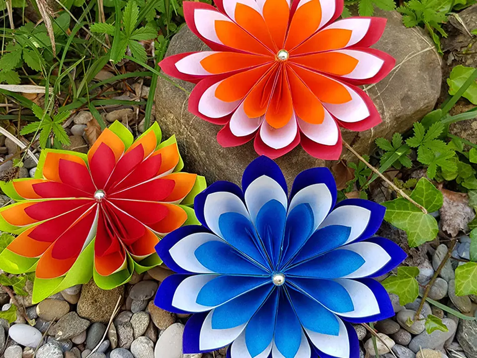 960x720_KK_blumen.jpg