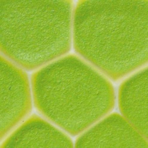 Mosaikcolour 30 ml, hellgrün