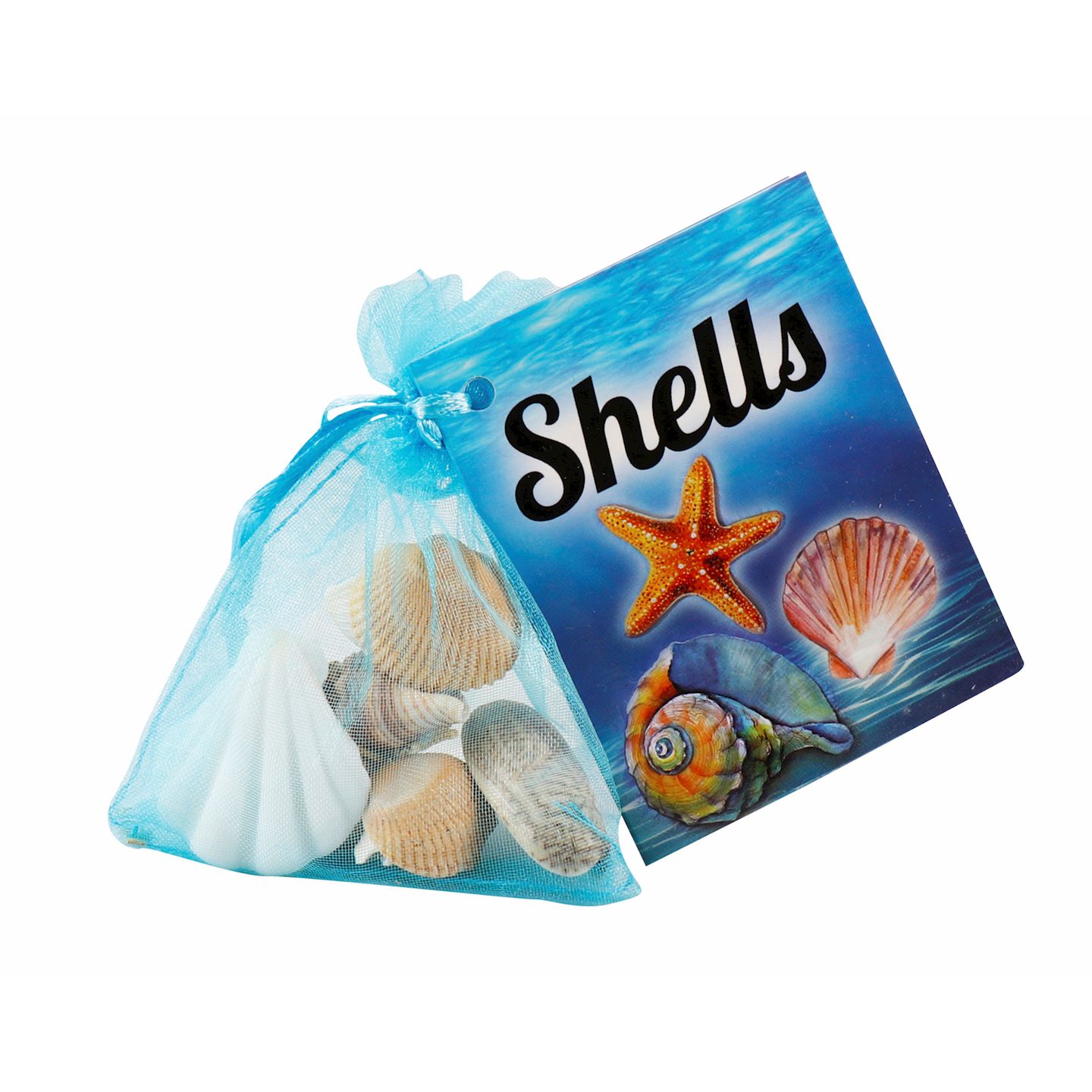 Muscheln gross im Organzabeutel