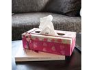 Kosmetiktücherbox