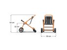 Buggy TopTrike