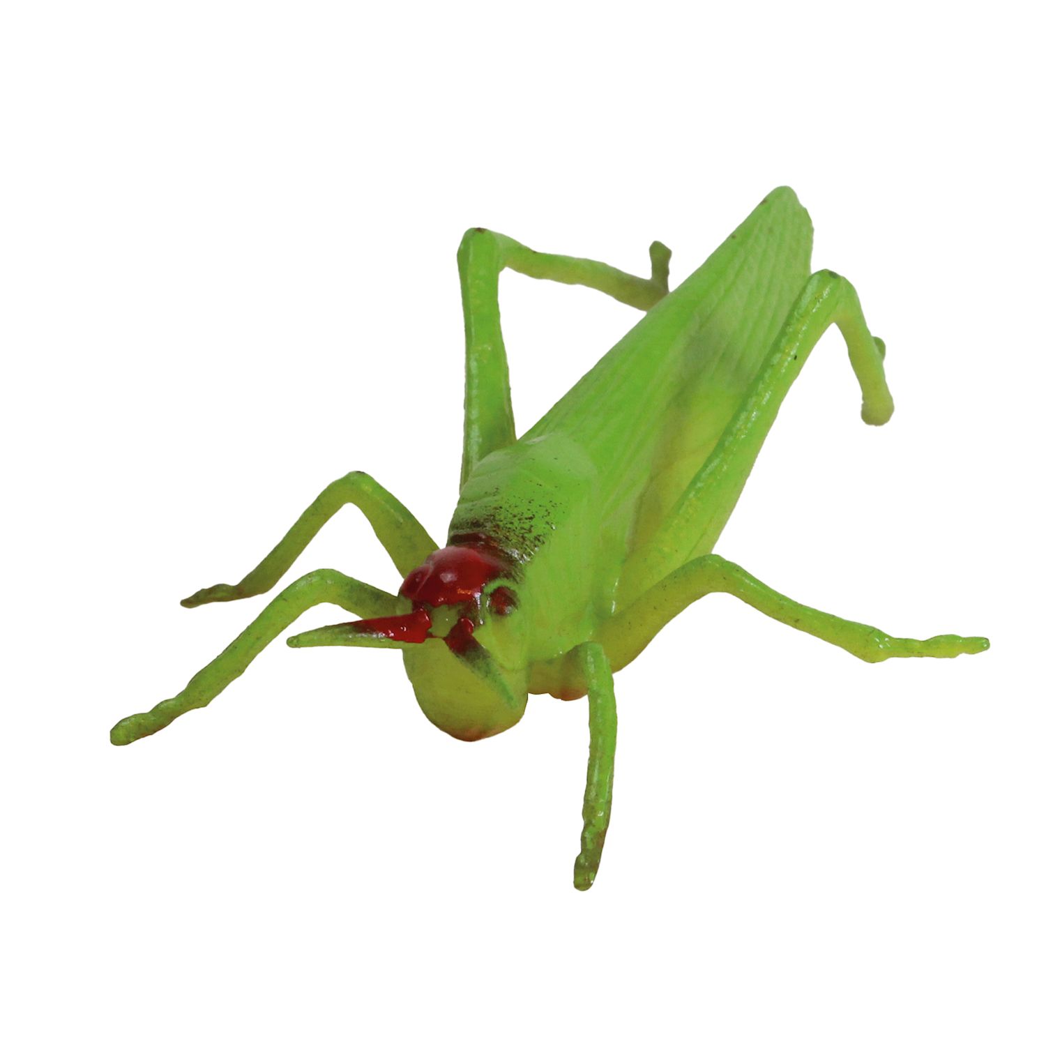 Modell Insekten & Co.